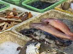 -华威西营里农产品批发市场