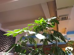 -慢丽江·云南野生菌土鸡锅(付家庄店)