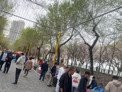 -哈尔滨道外花鸟鱼市场