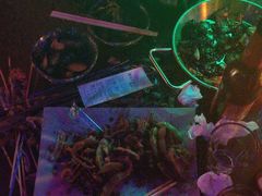 -夜火烤摊·东北烧烤酒场·老杨小黄鱼