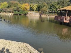 -无锡动物园·太湖欢乐园