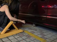 -暖阳宠物医院·犬猫康复中心·骨科