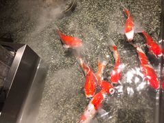 -0776食堂·京城创意菜(七里庄店)