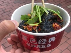 -黑色经典臭豆腐·湖南特产(步行街店)