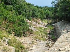 -阳台山自然风景区