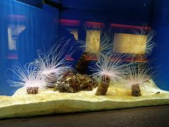 -上海海洋水族馆