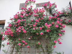 -龙吟九品(青龙山庄店)