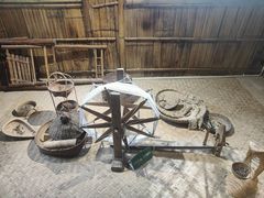 -西双版纳原始森林公园