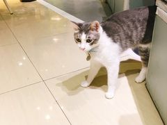 -小时光咖啡馆(开森度假森林店)