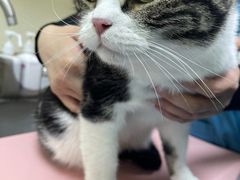 -美联众合动物医院·24h京西诊疗中心