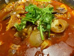 -绿茶餐厅(华联万柳店)