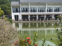 -谷丰健康凤贤居酒家