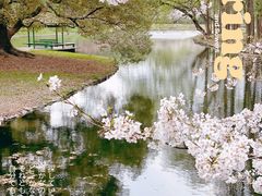 -上海共青森林公园