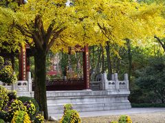 -汇龙潭