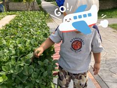 -天津金海湖