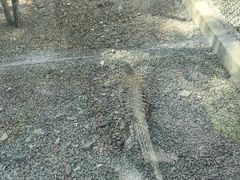 -青藏高原野生动物园
