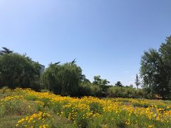 -终南山古楼观历史文化景区