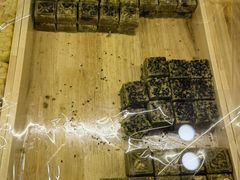 -清真全盛斋传统糕点(西羊市店)