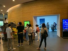 景点-中国湿地博物馆