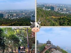 -杭州半山国家森林公园