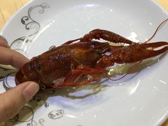 -怪怪龙虾·澳洲蓝龙王·深夜食堂(惊驾路店)
