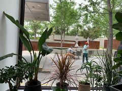 -阿那亚第一食堂 Cafeteria 1