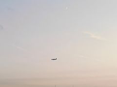 -台场海滨公园船码头