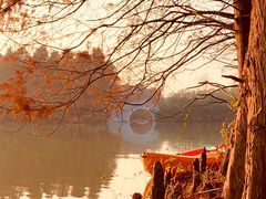 -上海海湾国家森林公园