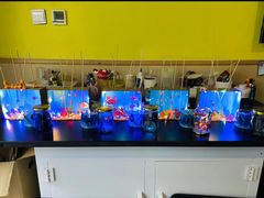 -神奇科学家STEAM科学实验科创赛事机器人编程逻辑思维MadScience(长宁来福士校区)