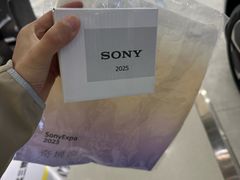 -Sony Store 索尼(来福士店)