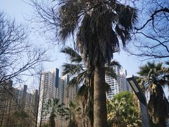 -苏州河梦清园环保主题公园