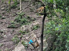 -黔灵山公园