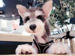 -雷门拉面·现熬骨汤(凯德来福士店)