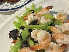 -云中小雅