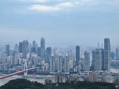 -南山植物园