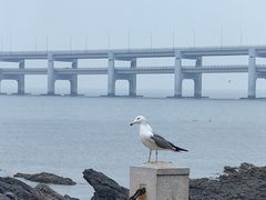 -黑石礁公园