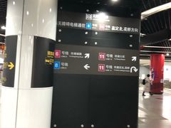 -东方体育中心(地铁站)