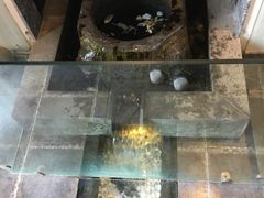 -泉畔人家·老济南经典鲁菜(大明湖店)