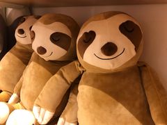 -名创优品(光耀东方购物中心店)