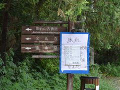 -阳台山自然风景区