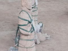 -秦始皇帝陵博物院(兵马俑)