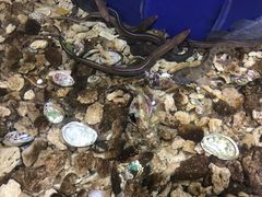 -山东八大碗山东老字号