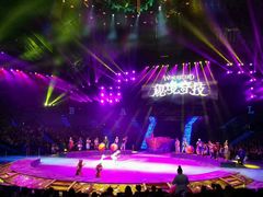 -珠海横琴长隆《卡卡虎奇遇记》