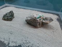 -大同煤炭博物馆