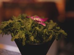 -财神鸡煲(华强北店)