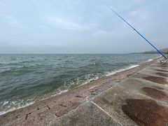 -海源公园