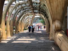 -重庆海昌加勒比海水世界