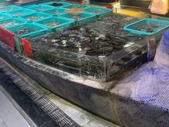 -渔傅·蓝海岸霞浦海鲜(正祥店)