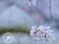 -苏州上方山国家森林公园