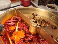 -小龙翻大江文化火锅(宽窄店)
